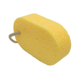 Bulk Cellulose Sponges Manufacturer In USA Photo Image 6096